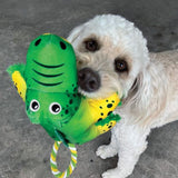 Premium Kong Cozie Tuggz Alligator M/L - 0035585509082 voor hond - Bestel nu bij Animal Valley, de online dierenwinkel voor jouw huisdier