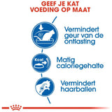 Premium Royal Canin Indoor 2 kg - 3182550704625 voor kat - Bestel nu bij Animal Valley, de online dierenwinkel voor jouw huisdier