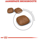 Premium Royal Canin Urinary Care 2 kg - 3182550842938 voor kat - Bestel nu bij Animal Valley, de online dierenwinkel voor jouw huisdier