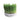 Premium Trixie kattengraszaad 50gr - 4011905423418 voor kat - Bestel nu bij Animal Valley, de online dierenwinkel voor jouw huisdier