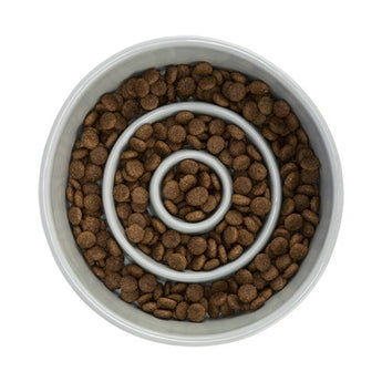 Premium Trixie voerbak slowfeeding keramiek 450 ml - 4011905245201 voor hond en kat - Bestel nu bij Animal Valley, de online dierenwinkel voor jouw huisdier