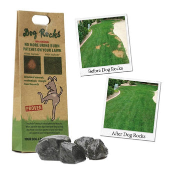 Premium Dog Rocks 200 Gr - 9335986000012 voor hond - Bestel nu bij Animal Valley, de online dierenwinkel voor jouw huisdier