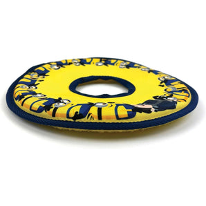 Minions Canvas Frisbee