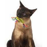 Premium Petstages Catnip Dental Health Chew - 0871864003267 voor kat - Bestel nu bij Animal Valley, de online dierenwinkel voor jouw huisdier