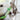 Premium Petstages Fresh Breath Mint Stick - 0871864003359 voor kat - Bestel nu bij Animal Valley, de online dierenwinkel voor jouw huisdier