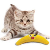 Premium Petstages Green Magic Boomerang Buddy - 0871864003311 voor kat - Bestel nu bij Animal Valley, de online dierenwinkel voor jouw huisdier