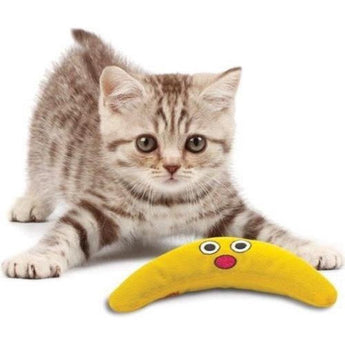 Premium Petstages Green Magic Boomerang Buddy - 0871864003311 voor kat - Bestel nu bij Animal Valley, de online dierenwinkel voor jouw huisdier