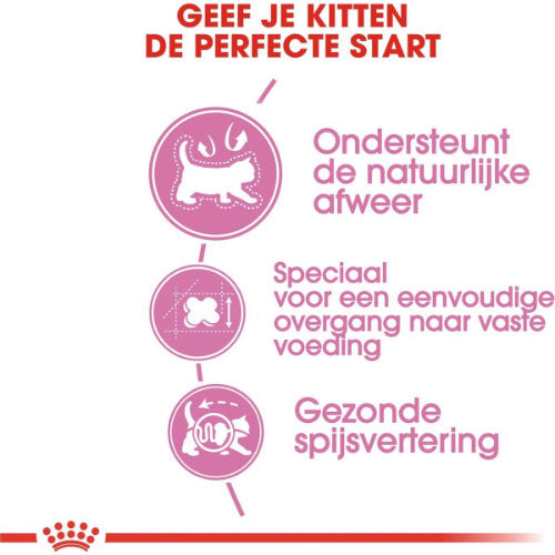 Premium Royal Canin Babycat 400 gr - 3182550707305 voor kat - Bestel nu bij Animal Valley, de online dierenwinkel voor jouw huisdier