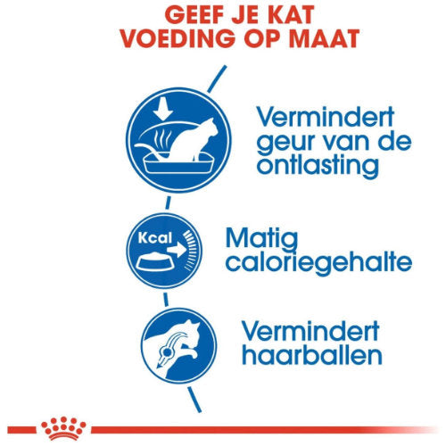 Premium Royal Canin Indoor 400 gr - 3182550704618 voor kat - Bestel nu bij Animal Valley, de online dierenwinkel voor jouw huisdier