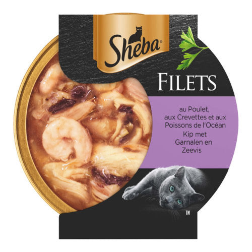 Premium Sheba Filets Kip / Garnaal / Oceaanvis In Saus 16x60 gr - 4008429134876 voor kat - Bestel nu bij Animal Valley, de online dierenwinkel voor jouw huisdier