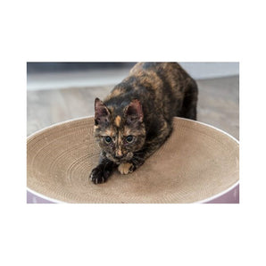 Premium Trixie Krabmand Lilly Karton Catnip Lila - 4011905480145 voor kat - Bestel nu bij Animal Valley, de online dierenwinkel voor jouw huisdier